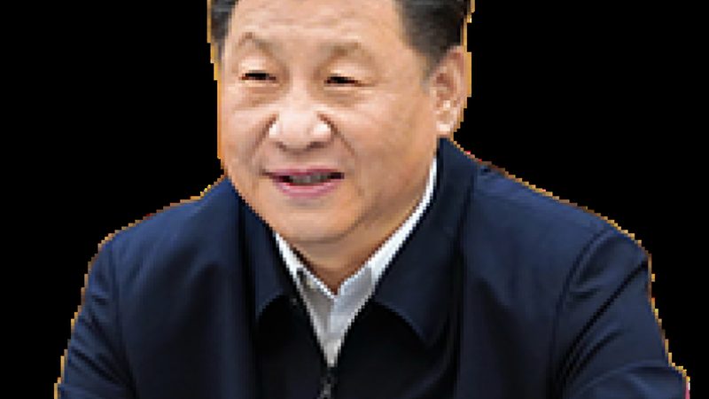 成都新材料应用代理哪家好